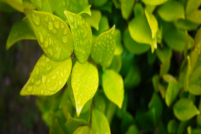 華東師范大學(xué)在職研究生